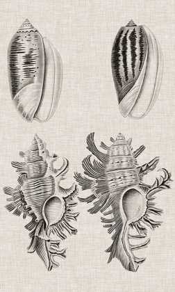 Picture of CHARCOAL AND LINEN SHELLS VII