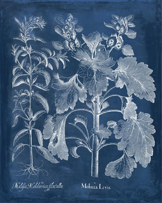 Picture of BESLER LEAVES IN INDIGO I