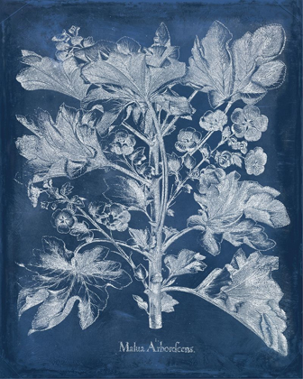 Picture of BESLER LEAVES IN INDIGO II