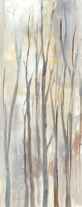 Picture of WISPY BIRCHES II