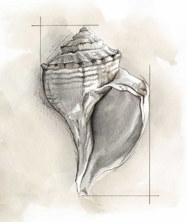 Picture of SHELL SCHEMATIC I