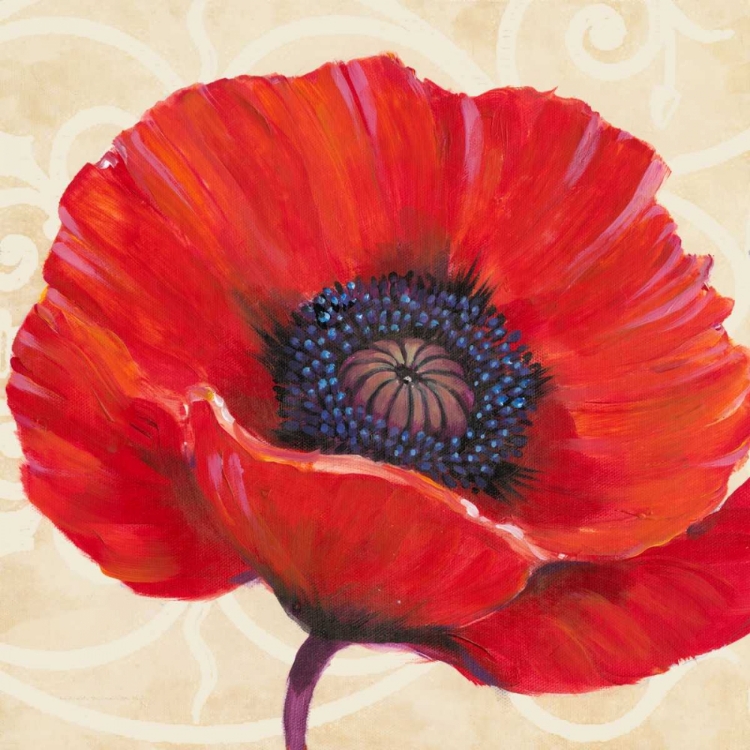 Picture of RED POPPY I