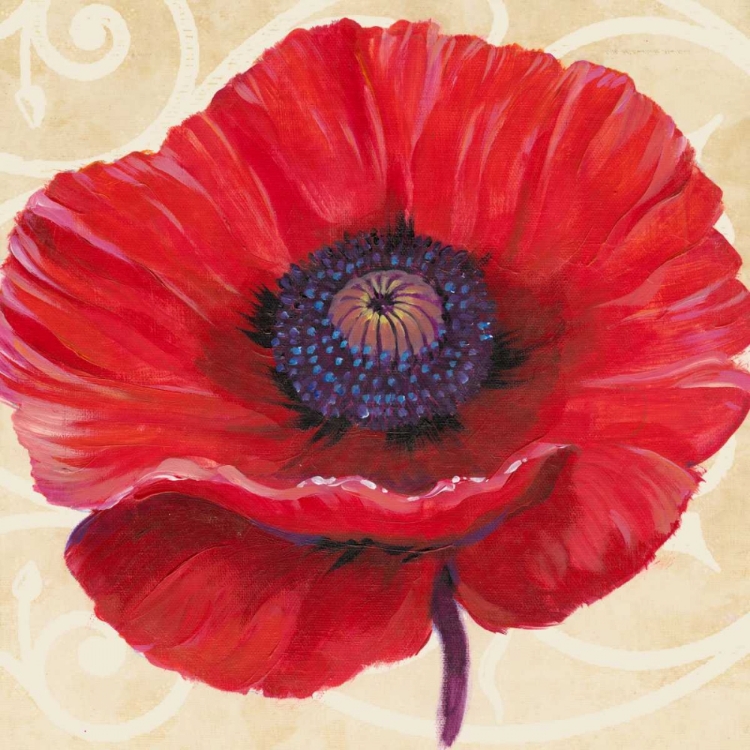 Picture of RED POPPY II