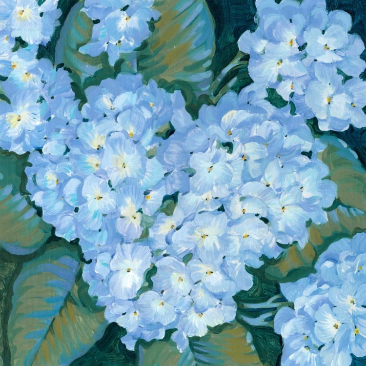 Picture of BLUE HYDRANGEAS II