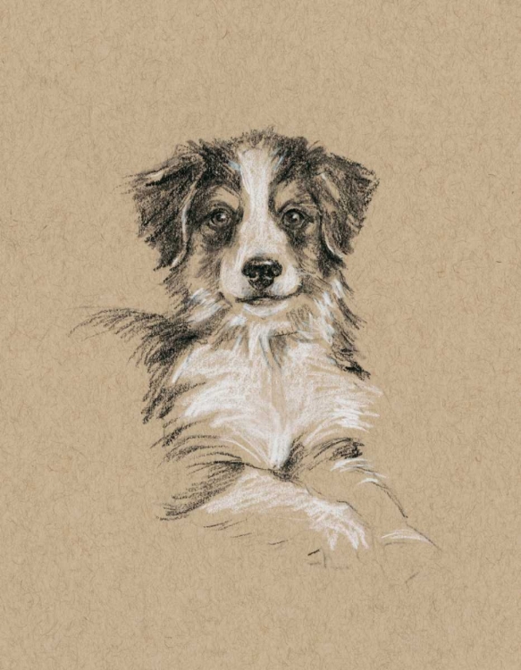 Picture of BREED SKETCHES IV