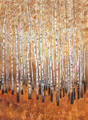 Picture of SIENNA BIRCHES I