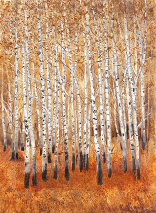 Picture of SIENNA BIRCHES II