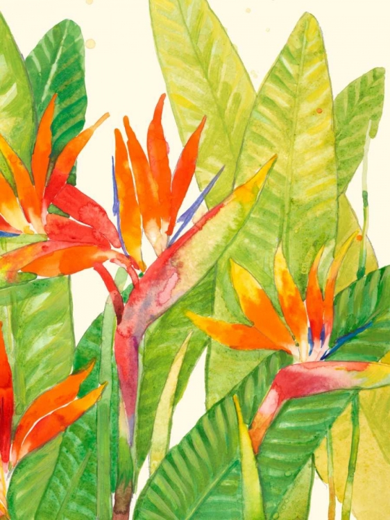 Picture of WATERCOLOR TROPICAL FLOWERS IV