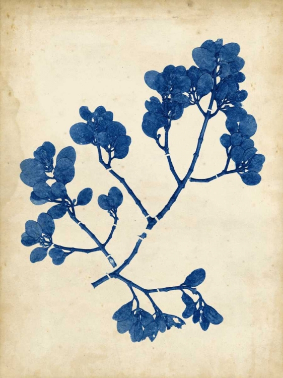 Picture of INDIGO LEAF STUDY III