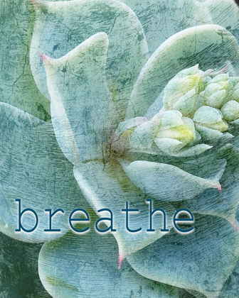 Picture of RELAX AND BREATHE 2