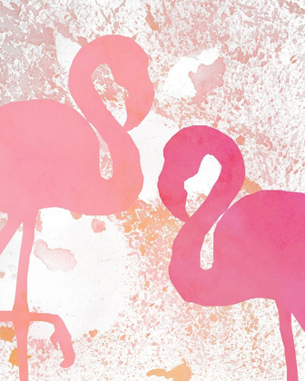 Picture of FLAMINGOS 1