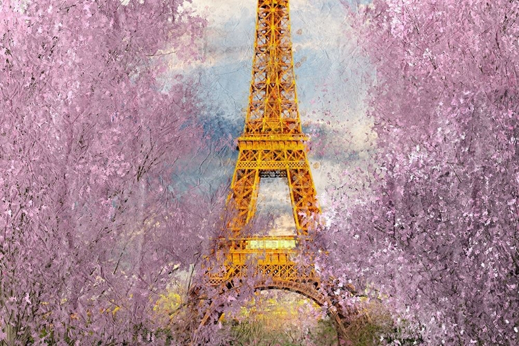 Picture of PARIS IN BLOOM