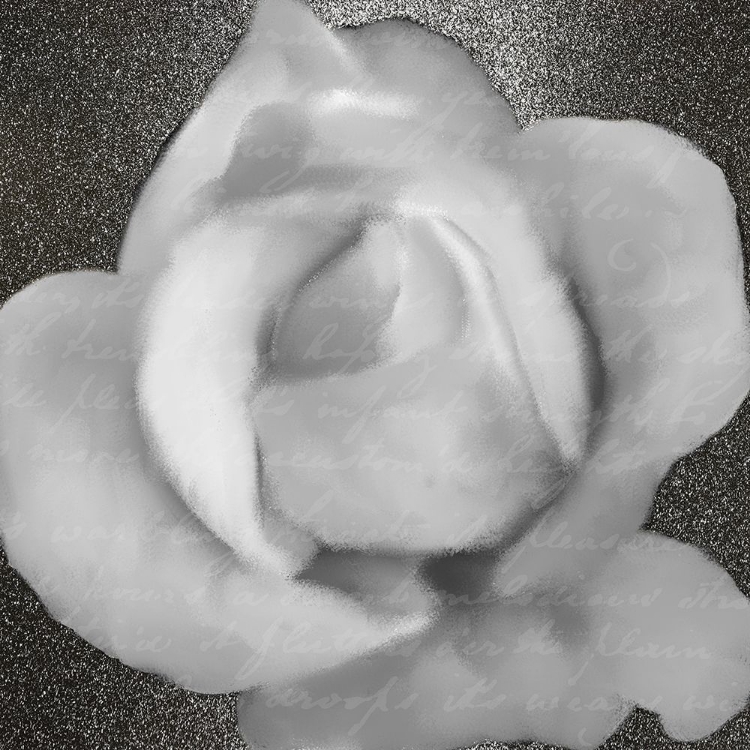 Picture of GREY ROSE 1