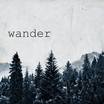 Picture of WANDER