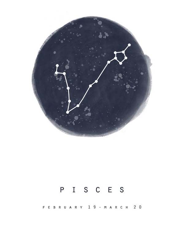 Picture of PISCES