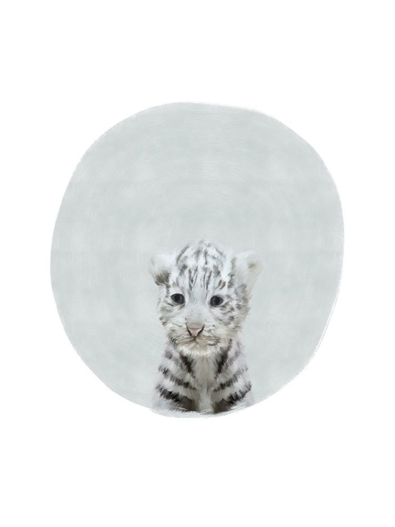 Picture of BABY WHITE TIGER