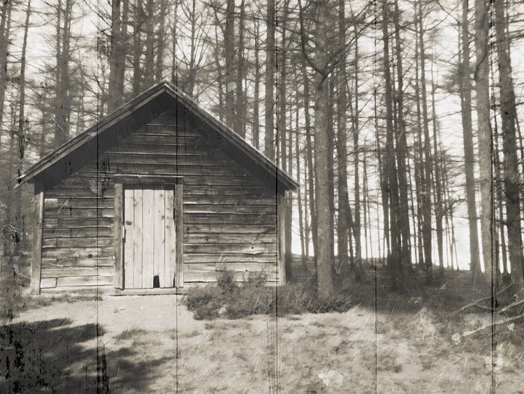 Picture of CABIN IN THE WOODS