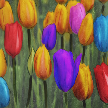 Picture of TULIPS PATCH