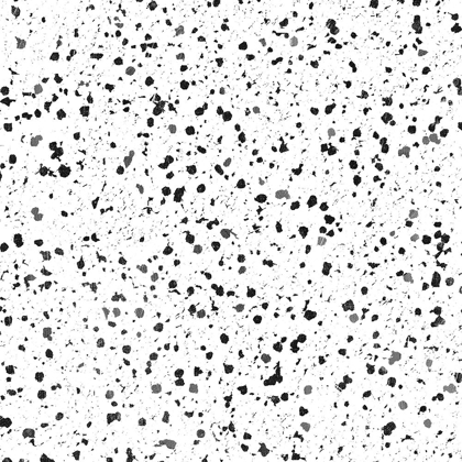 Picture of BW SPECKLES