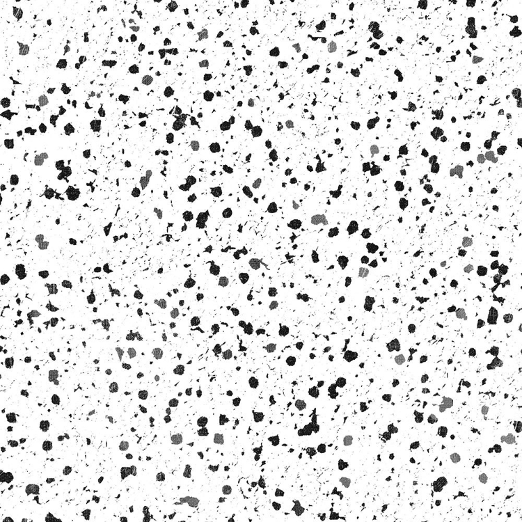 Picture of BW SPECKLES