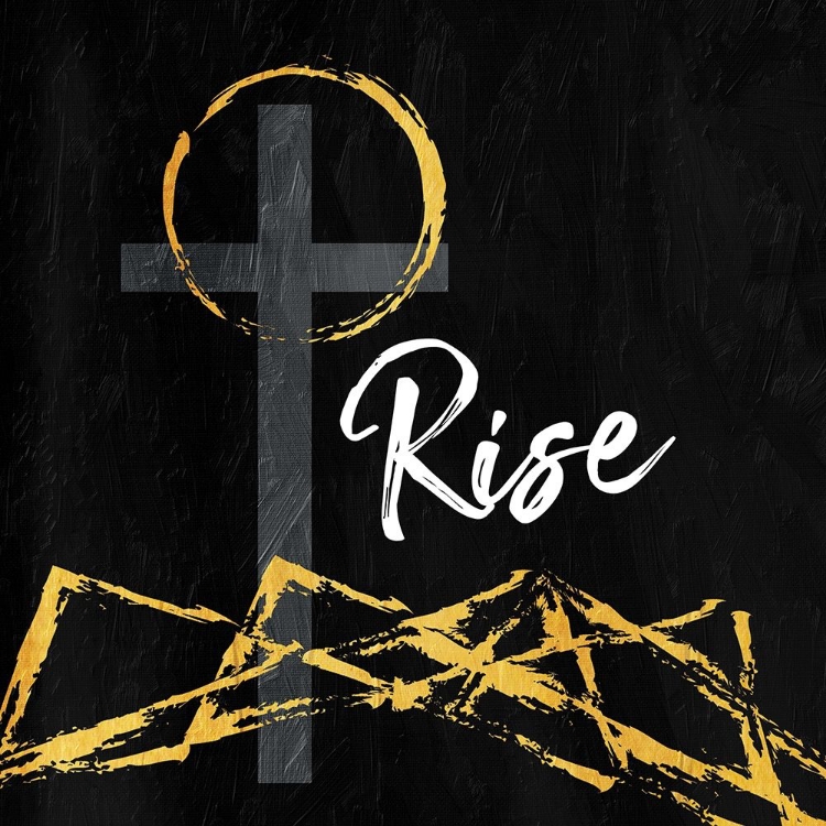 Picture of RISE