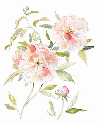 Picture of SKETCHBOOK COTTAGE ROSE II