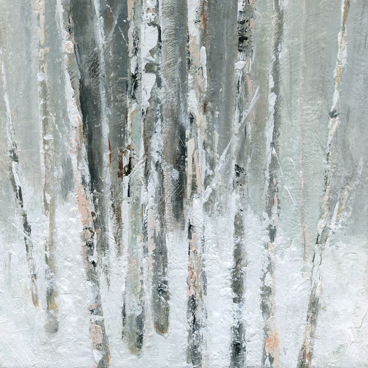 Picture of BIRCH BLUSH II