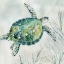 Picture of SEAGLASS TURTLE I