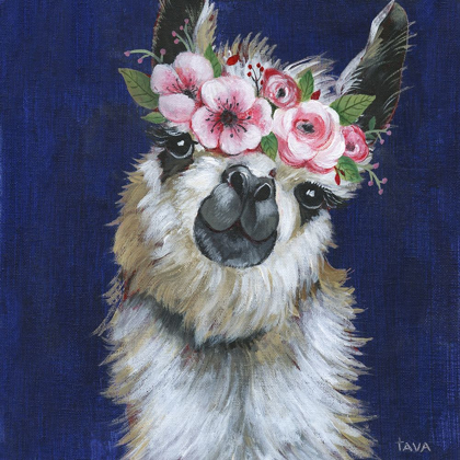 Picture of LADY LLAMA