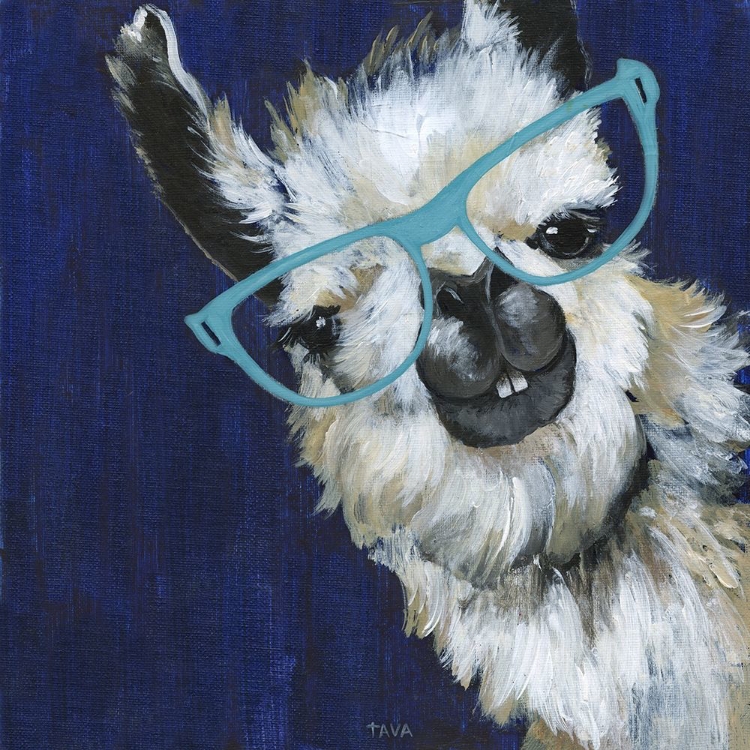 Picture of GENTLEMAN LLAMA