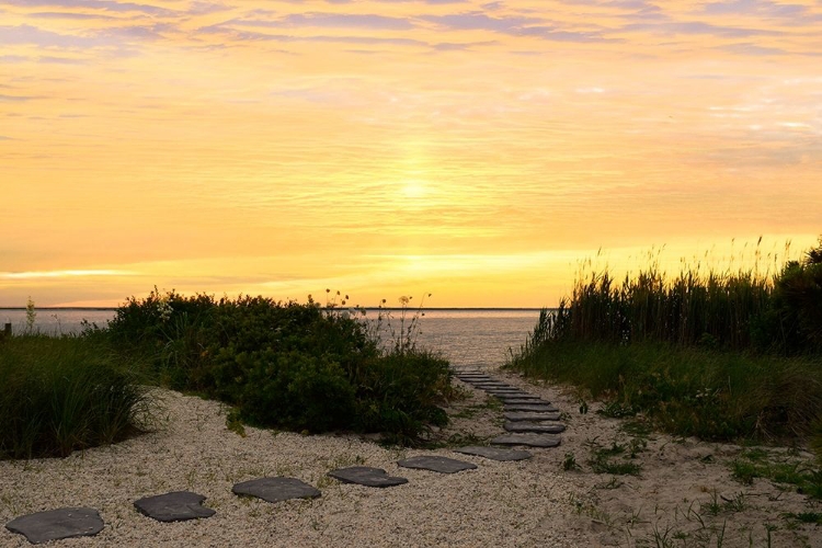 Picture of SUNSET PATH