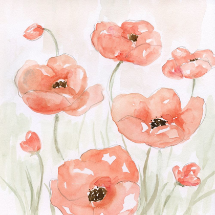Picture of SPRING POPPIES II