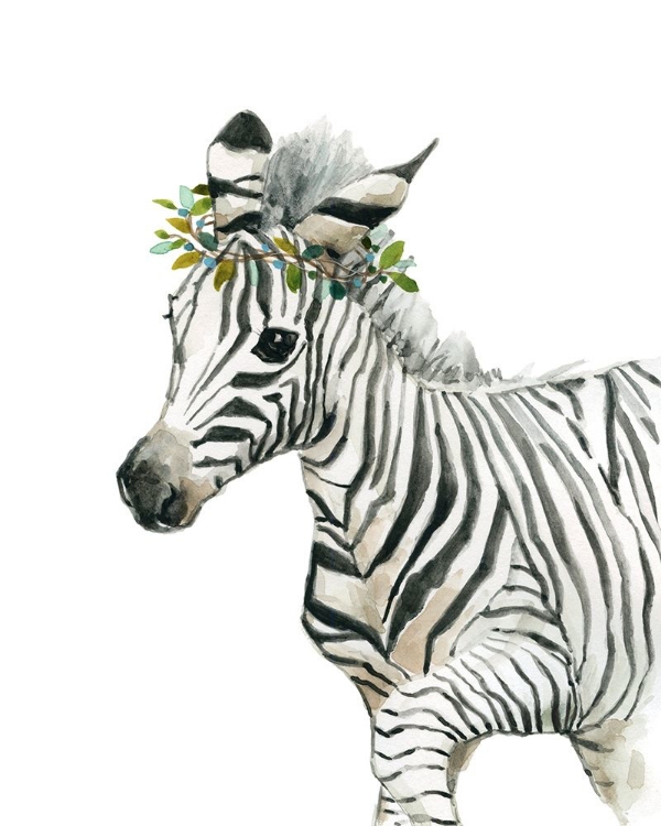 Picture of SAVANNAH ZEBRA