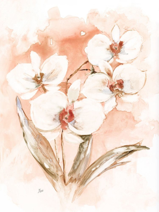 Picture of WHITE AND CORAL ORCHID I