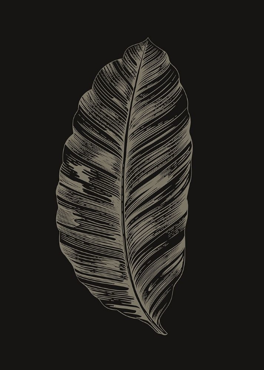 Picture of BLACK LEAF