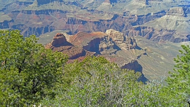 Picture of GRAND CANYON 3