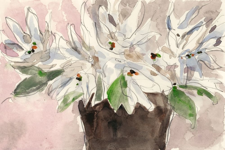 Picture of MAGNOLIA WATERCOLOR STUDY I