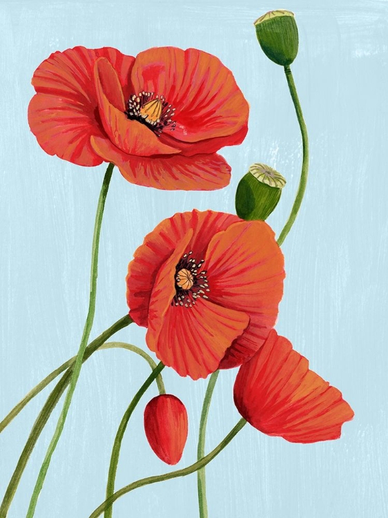 Picture of POPPY TOPPLE I