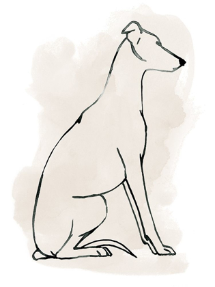 Picture of GREYHOUND SKETCH I