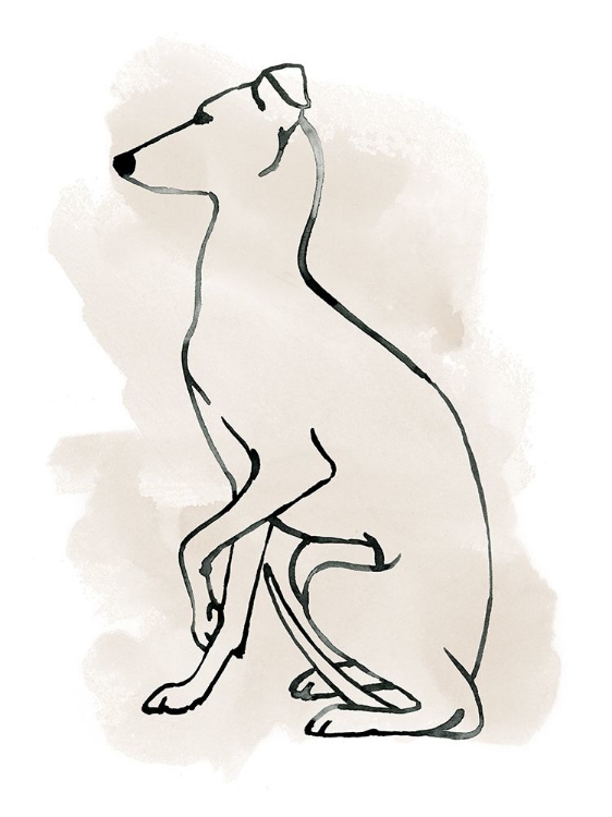 Picture of GREYHOUND SKETCH II