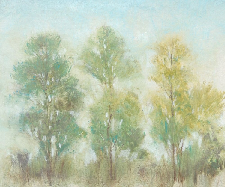 Picture of MUTED TREES II