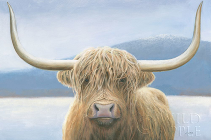 Picture of HIGHLAND COW