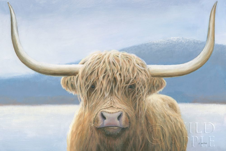 Picture of HIGHLAND COW