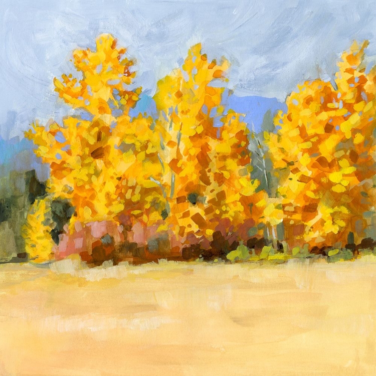 Picture of GOLDEN ASPEN TREES I