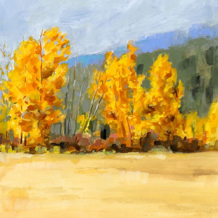 Picture of GOLDEN ASPEN TREES II