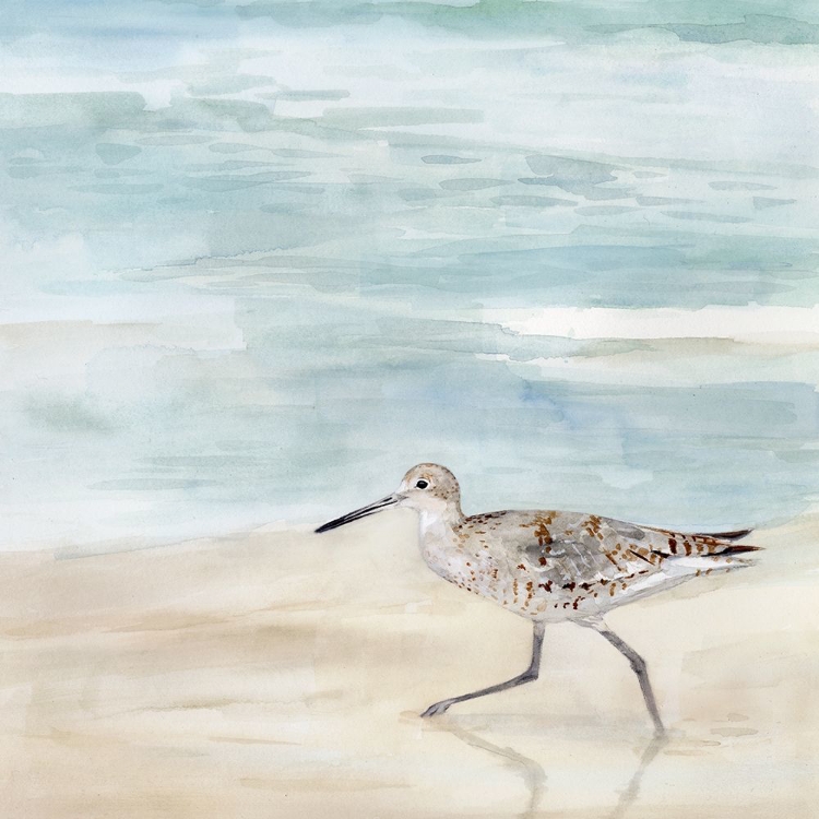 Picture of SPECKLED WILLET II