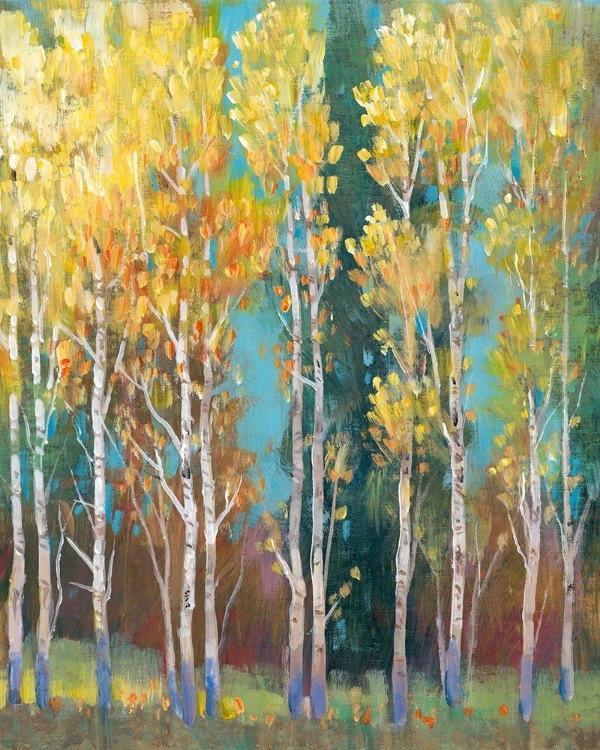 Picture of ASPEN GROVE I