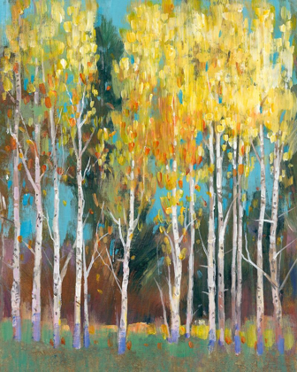 Picture of ASPEN GROVE II