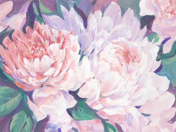 Picture of PEONIES IN BLOOM I