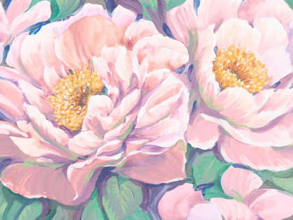 Picture of PEONIES IN BLOOM II